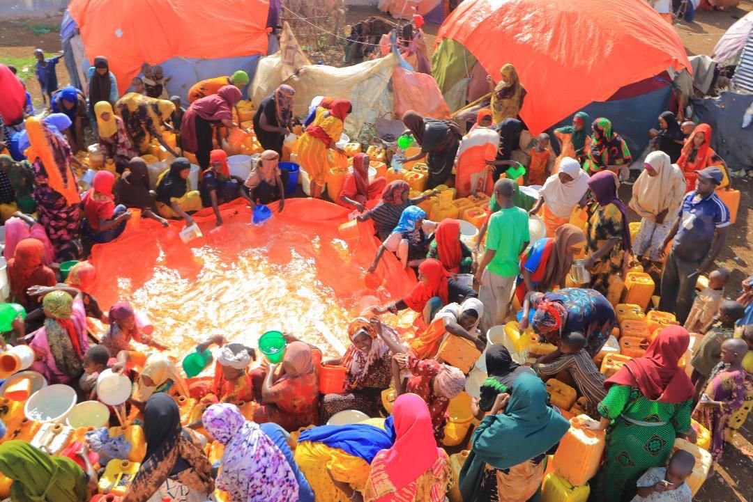 MACWO programme activity